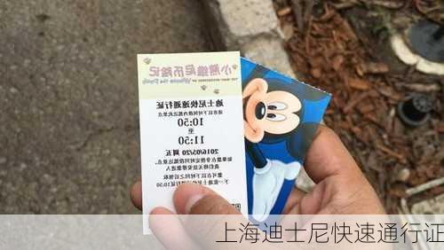 上海迪士尼快速通行证