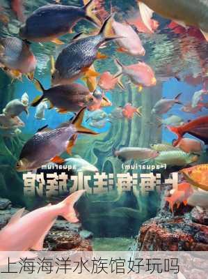 上海海洋水族馆好玩吗