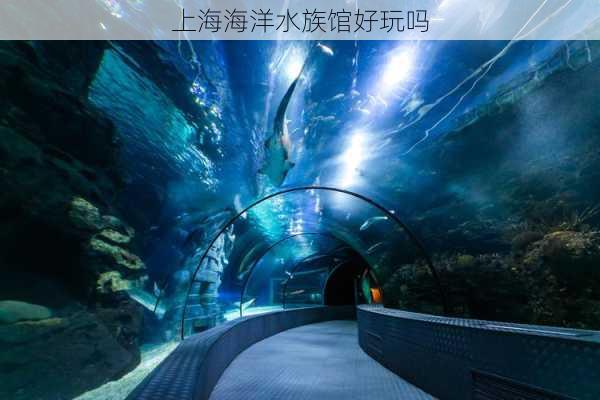 上海海洋水族馆好玩吗