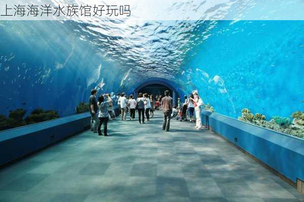 上海海洋水族馆好玩吗