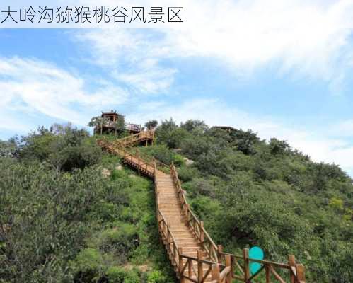 大岭沟猕猴桃谷风景区