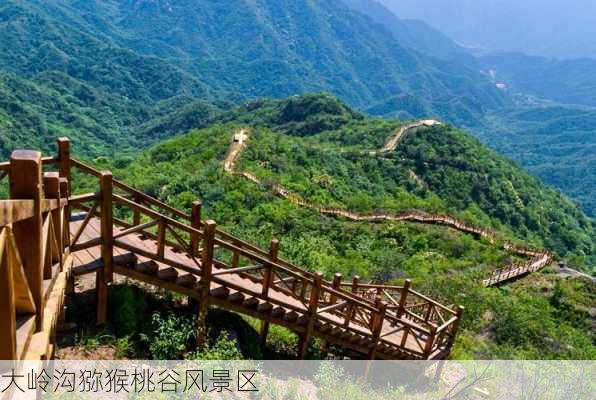 大岭沟猕猴桃谷风景区