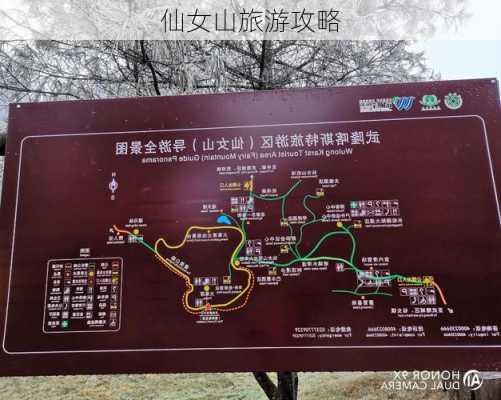 仙女山旅游攻略