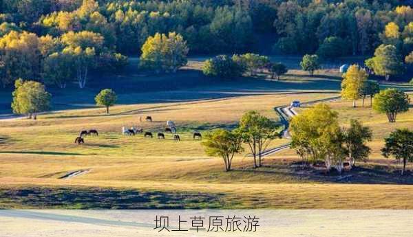 坝上草原旅游