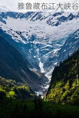 雅鲁藏布江大峡谷