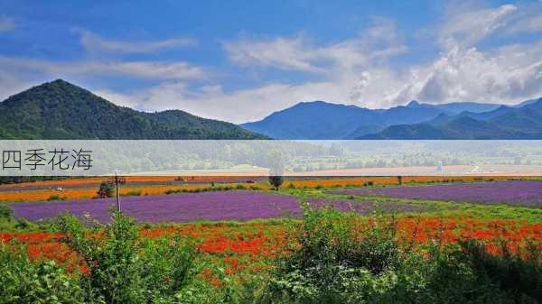 四季花海