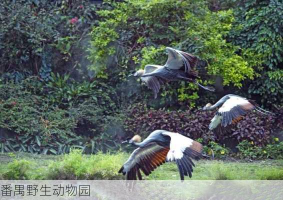 番禺野生动物园