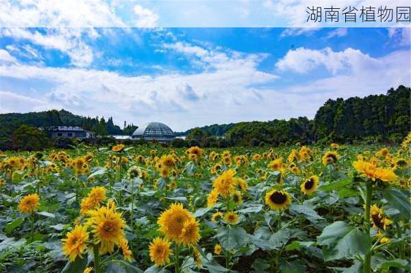 湖南省植物园