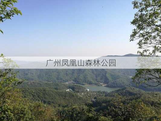 广州凤凰山森林公园