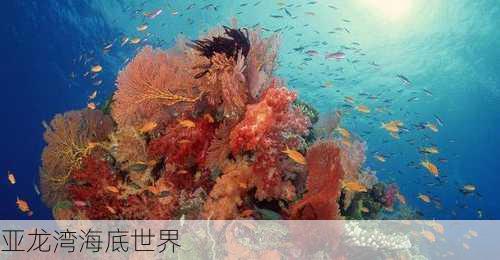 亚龙湾海底世界