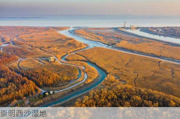 崇明西沙湿地