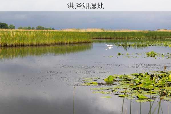 洪泽湖湿地