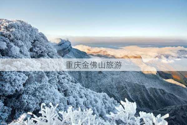 重庆金佛山旅游