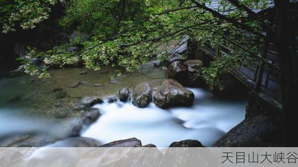 天目山大峡谷