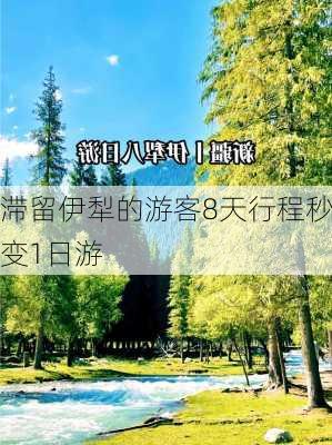 滞留伊犁的游客8天行程秒变1日游