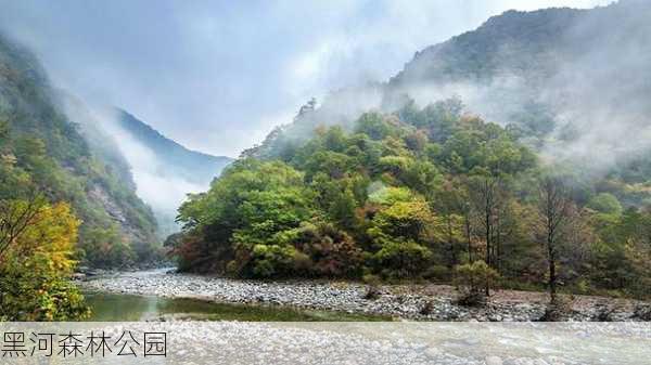 黑河森林公园