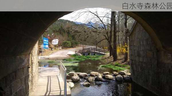 白水寺森林公园