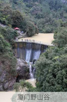 厦门野山谷