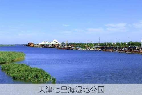 天津七里海湿地公园