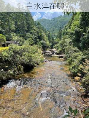 白水洋在哪