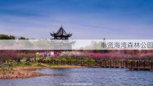 奉贤海湾森林公园