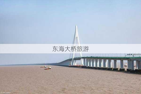 东海大桥旅游