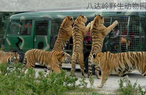 八达岭野生动物园