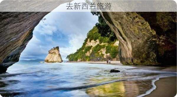 去新西兰旅游