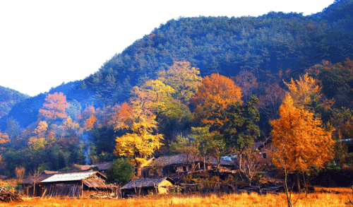 水没坪村