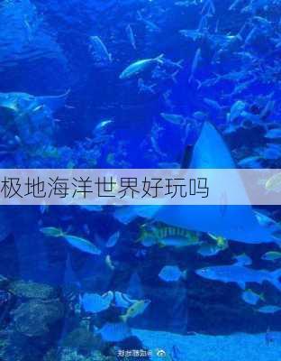 极地海洋世界好玩吗