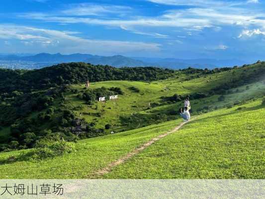 大姆山草场