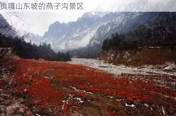 贡嘎山东坡的燕子沟景区