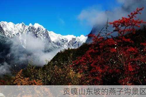 贡嘎山东坡的燕子沟景区