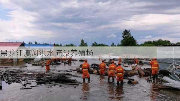 黑龙江漠河洪水淹没养殖场