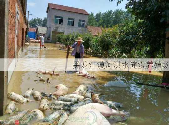 黑龙江漠河洪水淹没养殖场