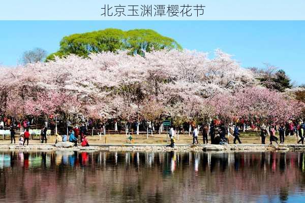 北京玉渊潭樱花节