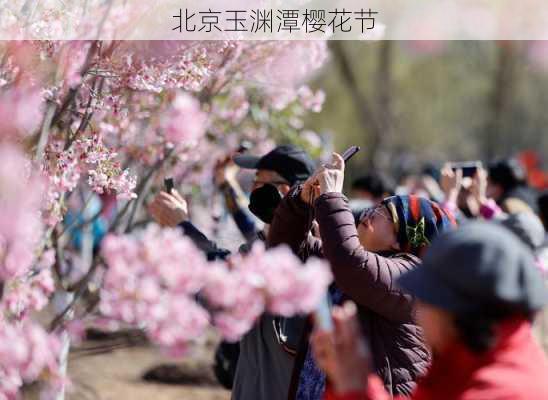 北京玉渊潭樱花节