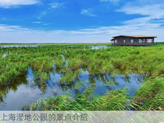 上海湿地公园的景点介绍