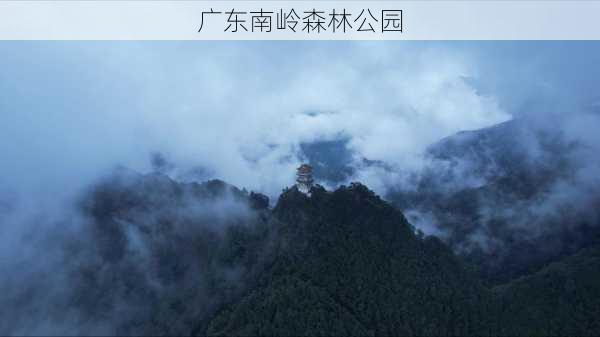 广东南岭森林公园