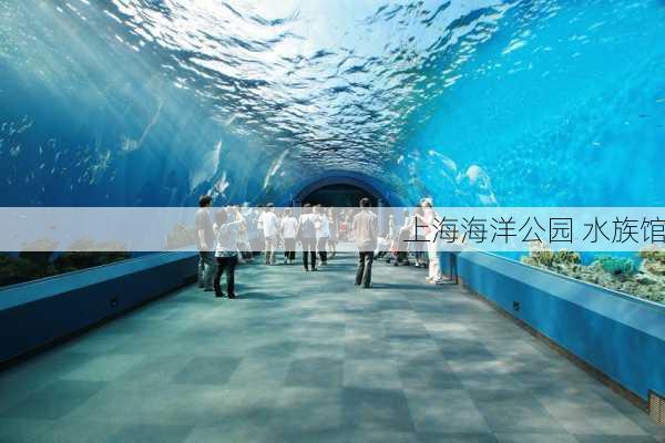 上海海洋公园 水族馆