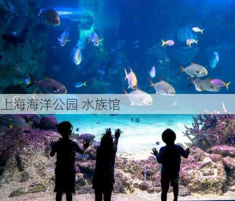 上海海洋公园 水族馆