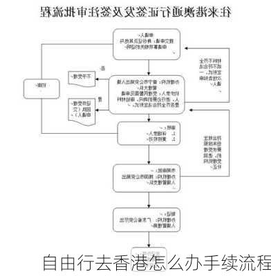 自由行去香港怎么办手续流程