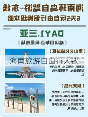 海南旅游自由行人数