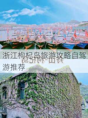 浙江枸杞岛旅游攻略自驾游推荐