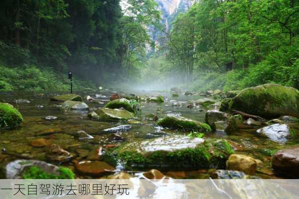 一天自驾游去哪里好玩