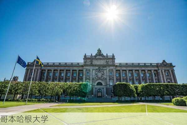 哥本哈根大学