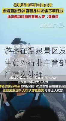 游客在温泉景区发生意外行业主管部门怎么处理