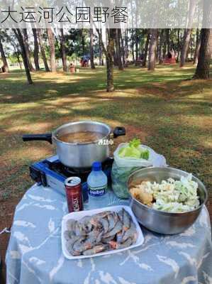 大运河公园野餐