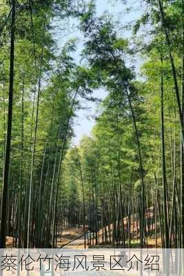 蔡伦竹海风景区介绍