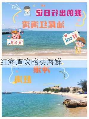 红海湾攻略买海鲜